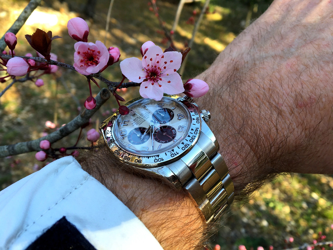HOMMAGE à ZEN : ici notre plus beau bouquet de ROLEX ! - Page 3 IMG-9705