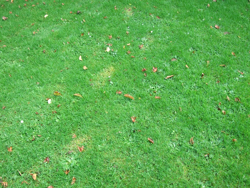 DSCF7176small