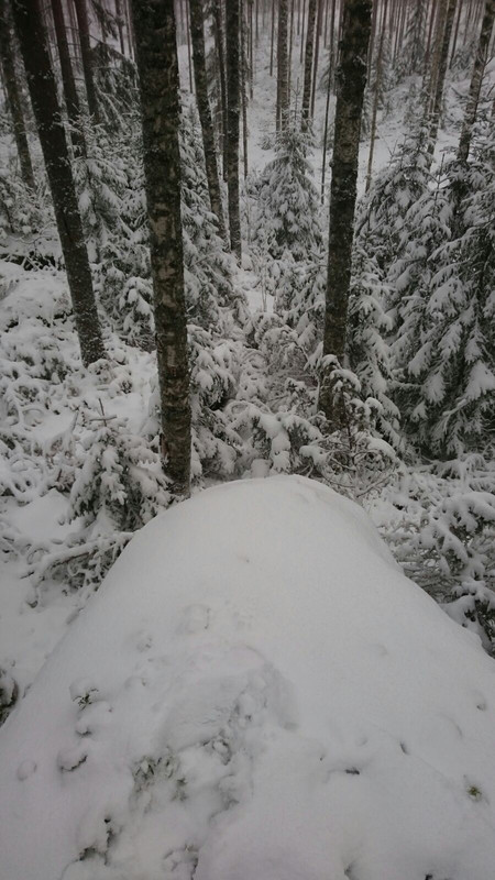 IMG-20161126-WA0084