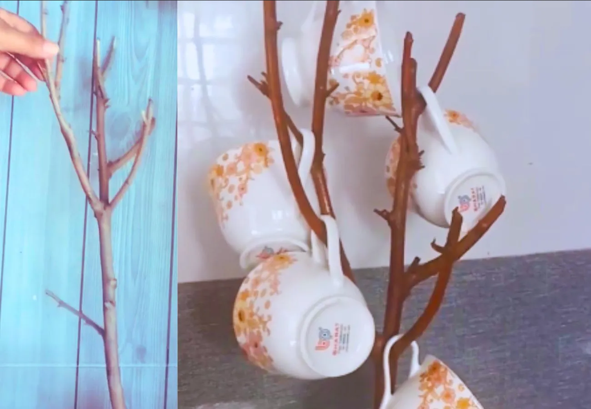 Haz un hermoso soporte para tazas con yeso y ramas secas