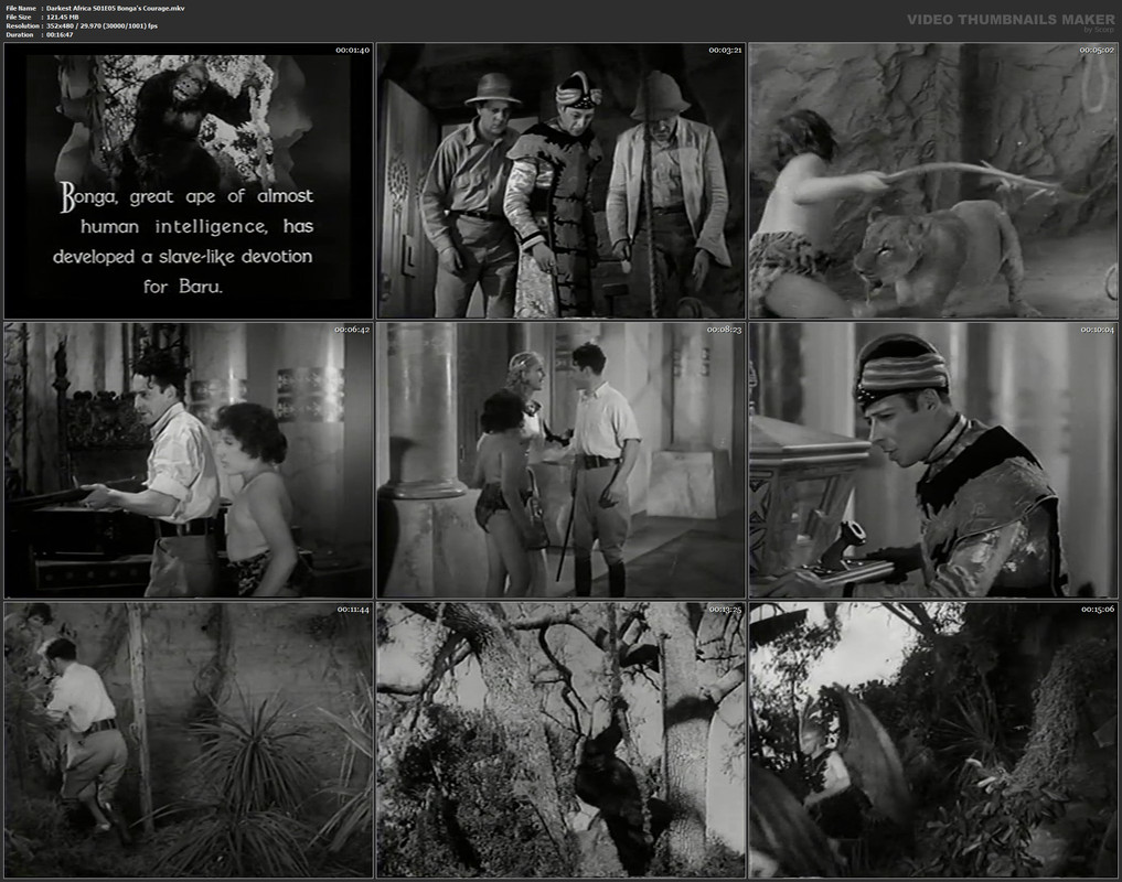 Darkest Africa S01E05 Bonga's Courage.mkv