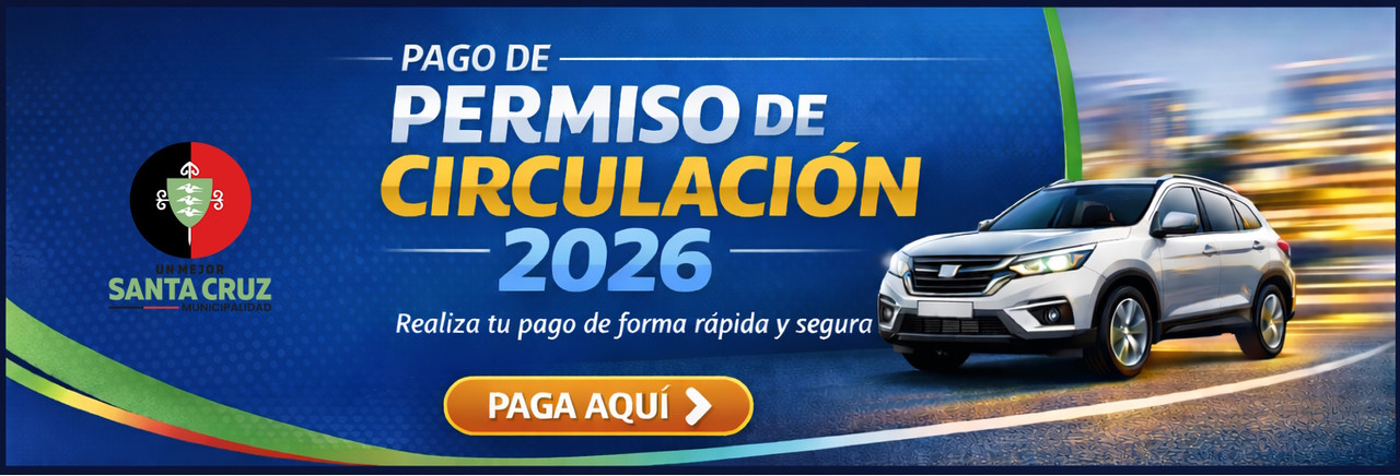 Vecino Digital Santa Cruz