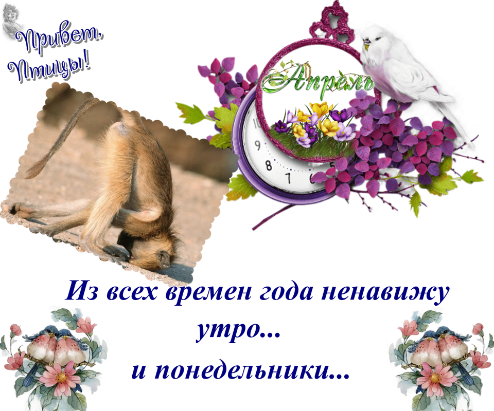 https://i.postimg.cc/7hpgXj2J/24-04.png