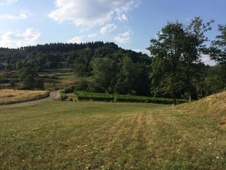 parcelle