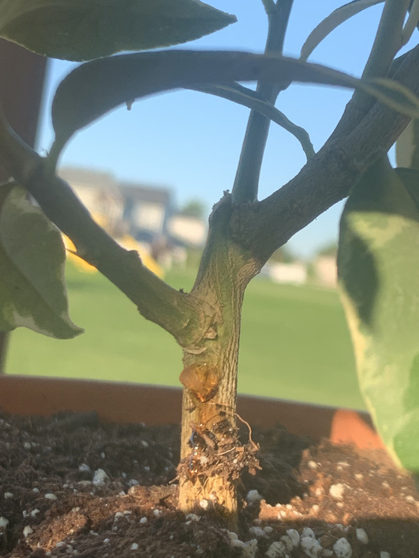 789DB12F-7943-44FA-9A50-E689E305A189