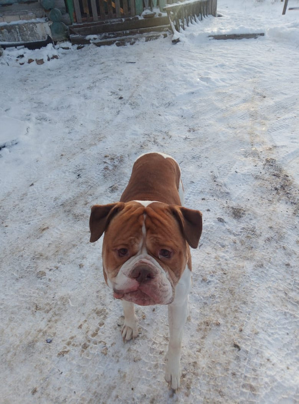 53AFFB39-1029-449D-9E15-64EACFCF76B6