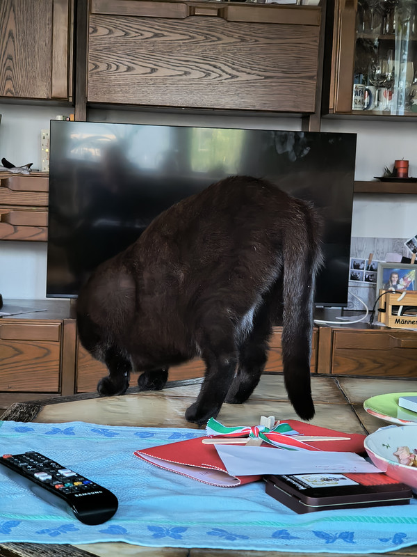 IMG 20260930 184210356 HDR