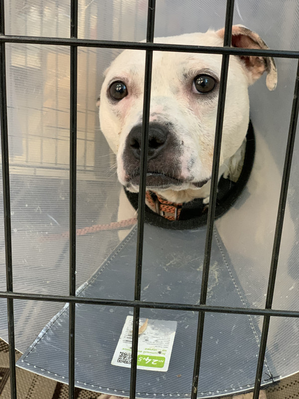 9CB5A2E4-4372-4921-9F37-FA184233F243