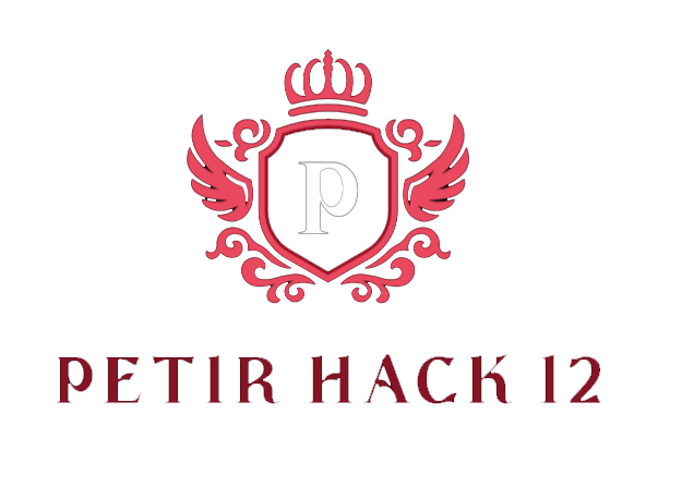 petir hack 12 image
