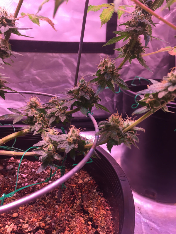 47E699CF-083A-48CF-B735-726A42DD30CE