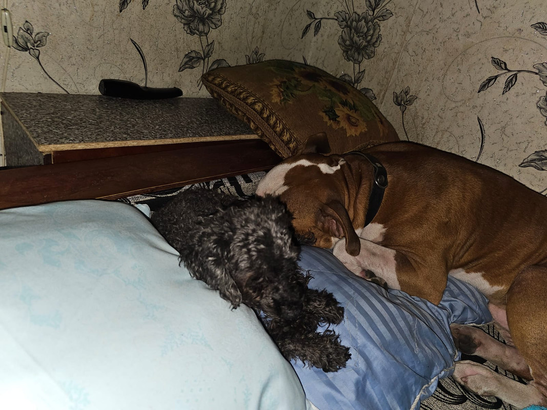 WhatsApp Image 2024-01-20 at 19.47.56 (1)