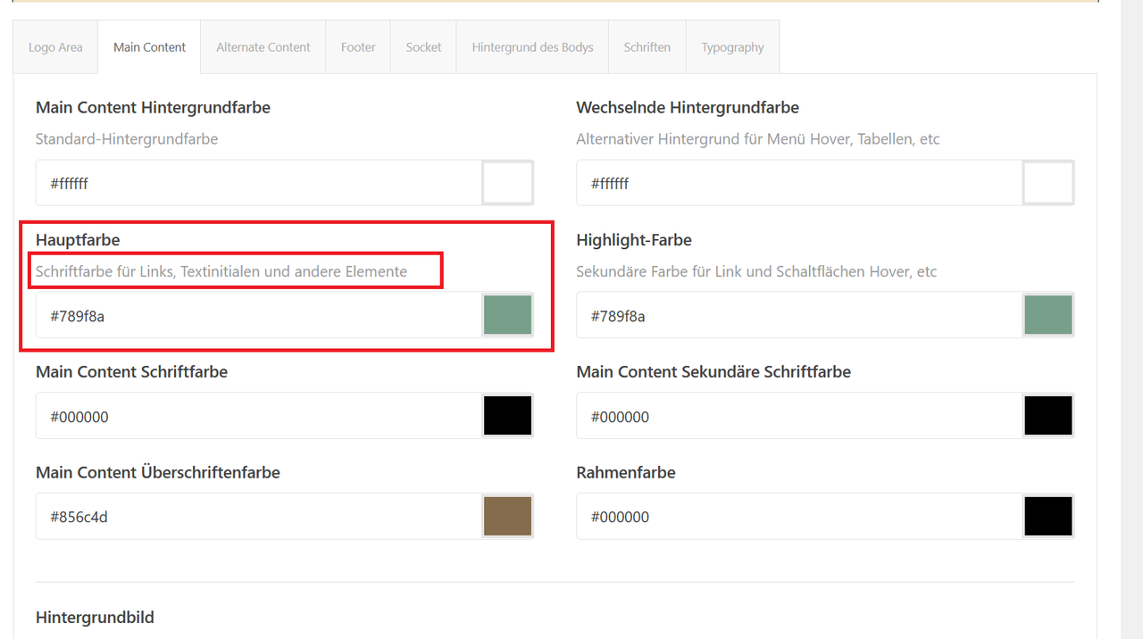Änderungen in den Theme Optionen
