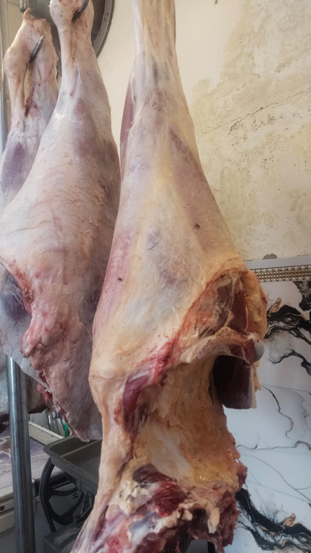 Hanging Fresh Mutton Leg Raan