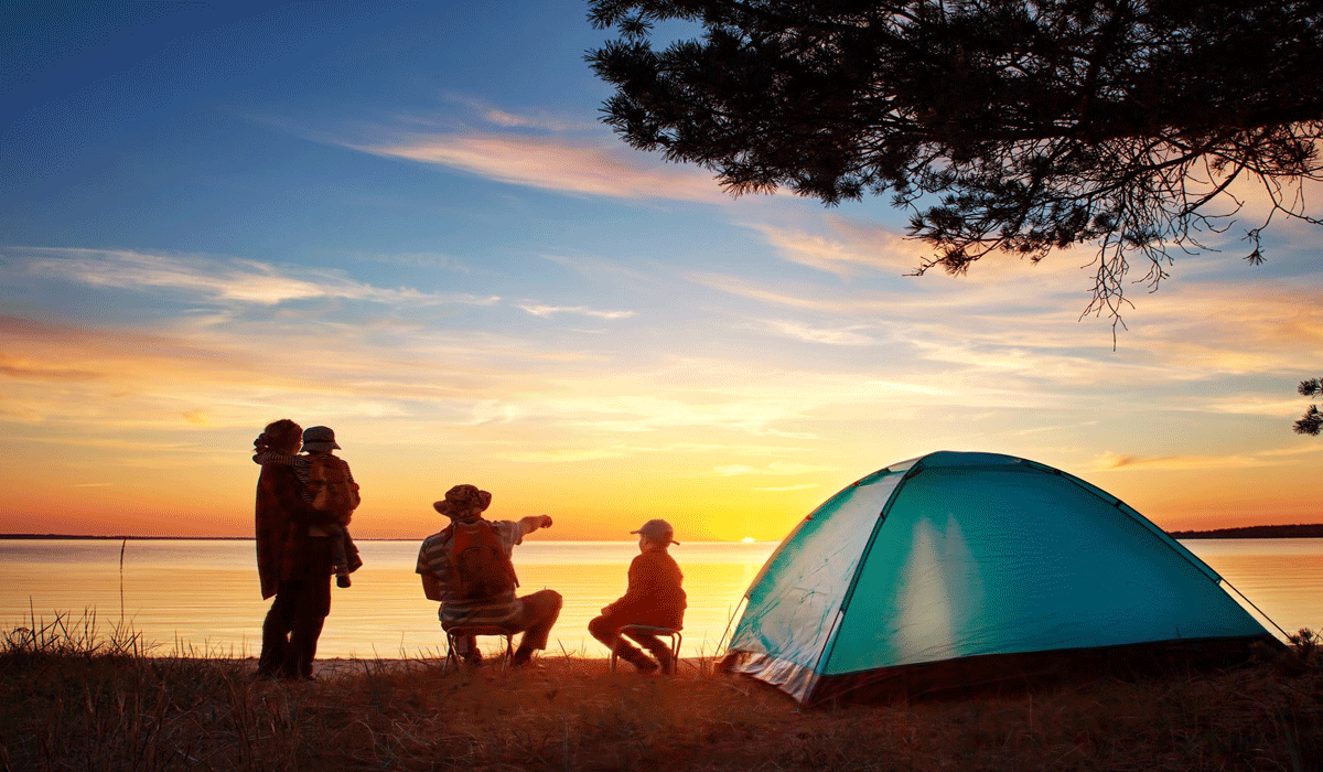 Warga trange Sounds In the Night