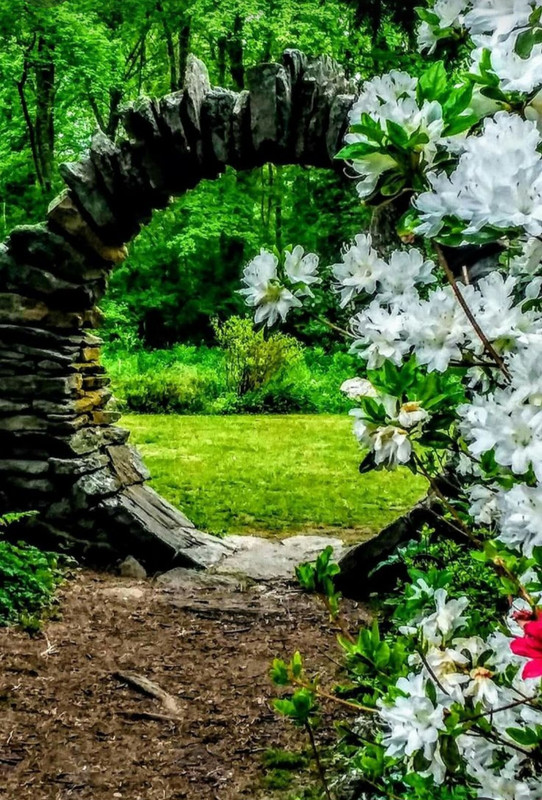 Screenshot_20240305_225638_Pinterest