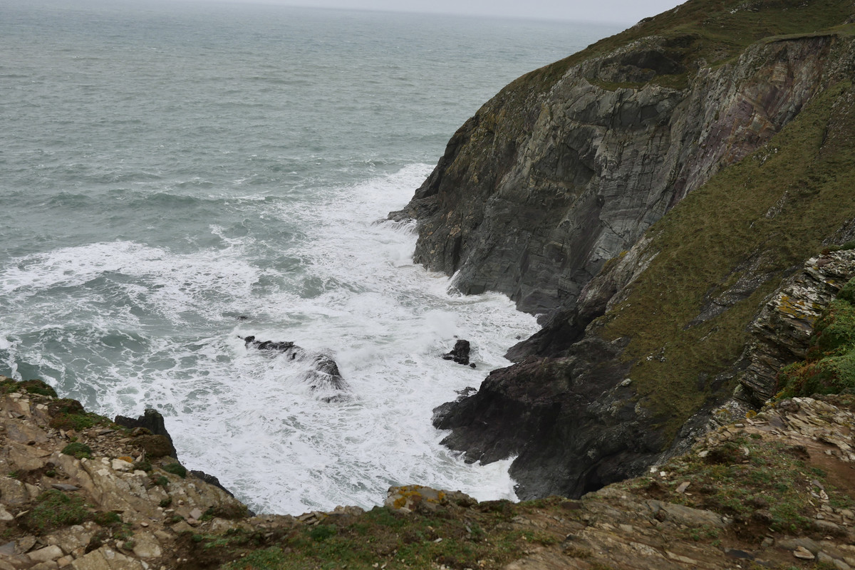 1C81934E-F539-4D4F-87F7-FA41875CA078