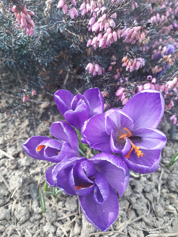 20190308_150205