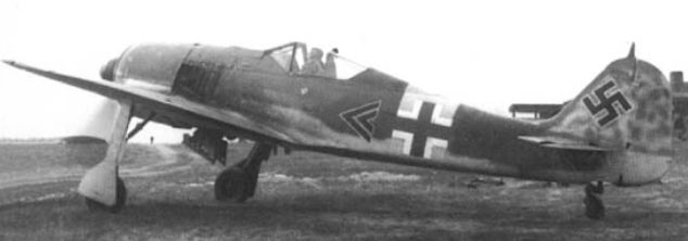 El Focke Wulf FW 190 A-6 nº 10004 fue el avión con el cual Nowotny consiguió su victoria número 250. El hecho tuvo lugar el 14 de octubre de 1943 cuando derribó a un P-40 soviético El Focke Wulf FW 190 A-6 nº 10004 fue el avión con el cual Nowotny consiguió su victoria número 250. El hecho tuvo lugar el 14 de octubre de 1943 cuando derribó a un P-40 soviético
