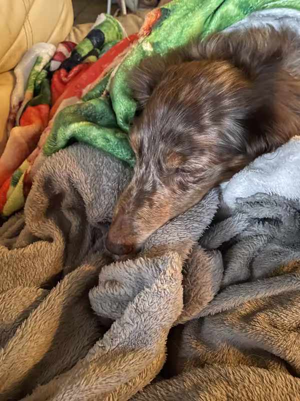 [Image: IMG-20241228-092549.avif]