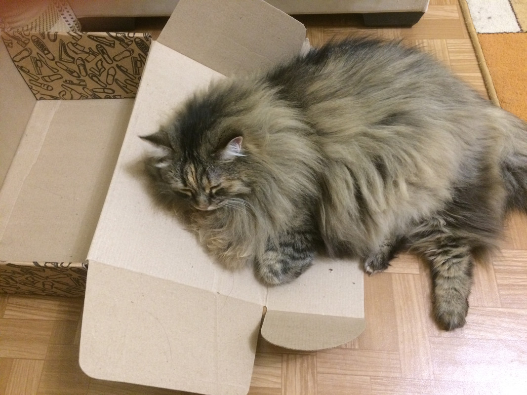 DC60A9A4-C2E3-4471-80C4-F53FCCA48645