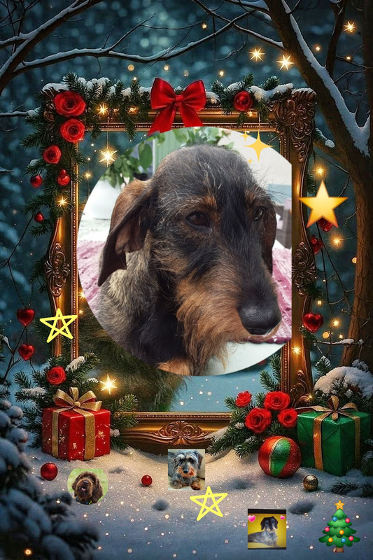 [Image: FB-IMG-1766131847018.jpg]