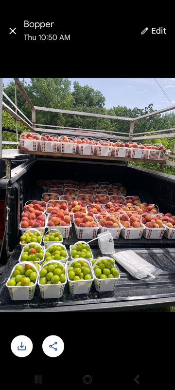 Screenshot_20250517_043959_Messages