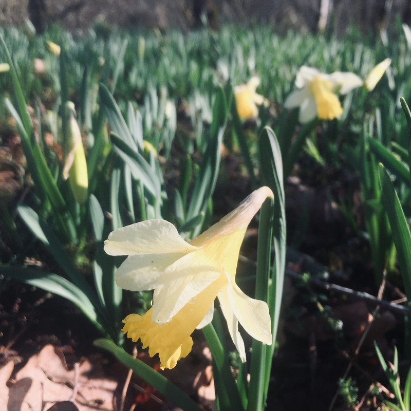 A37ACA7D-A3F8-482D-8031-50966561AA08