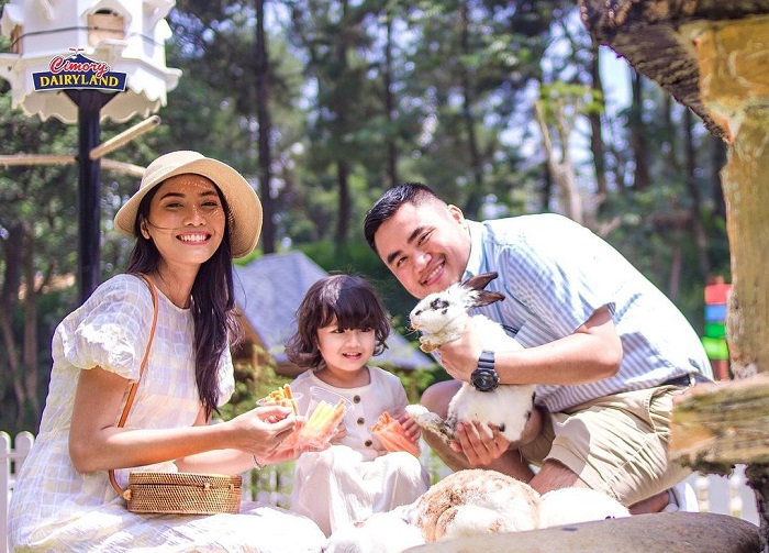Spot Rabbit Garden di Cimory Dairyland Puncak.
