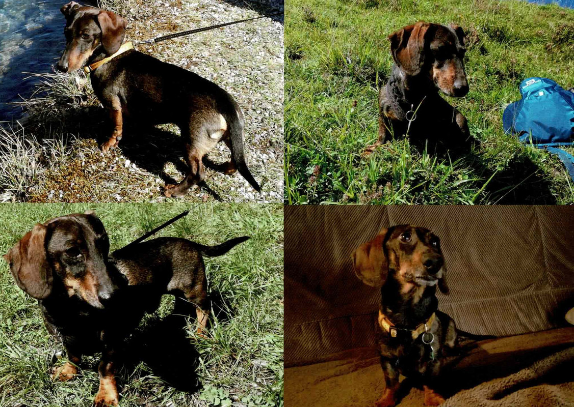 Numérisation_20250913 (2) - Copie