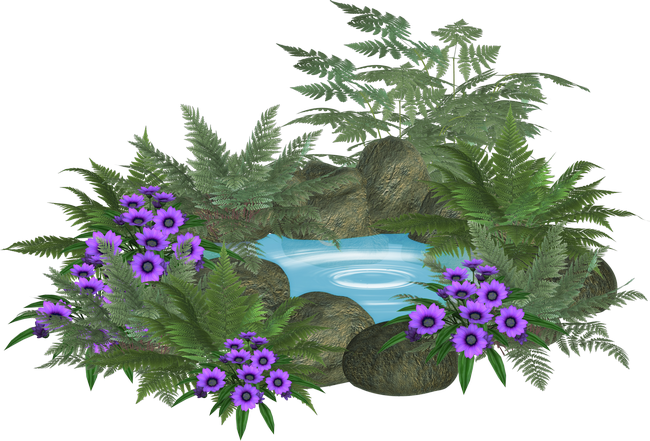 PeacockDreams_MM_Element (122)