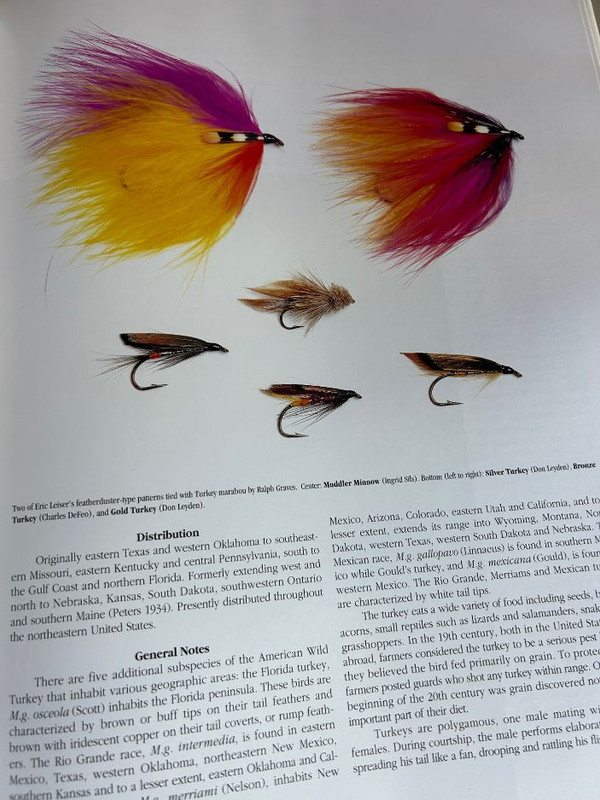 Fly-Tying-013