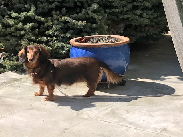 [Image: IMG-2914.jpg]