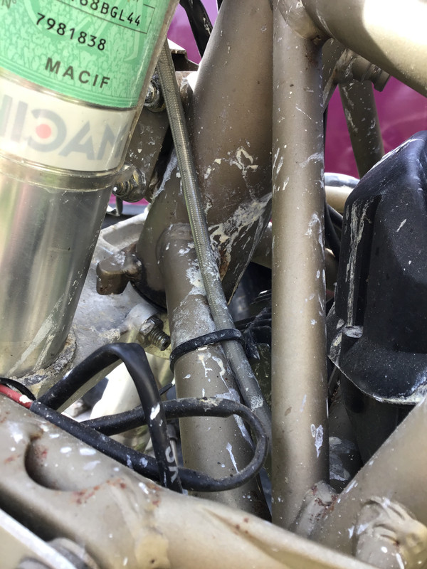 F5C9C205-BCBB-4F11-AEC4-032053B39004