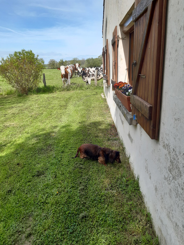 [Image: 20230427-105446.jpg]