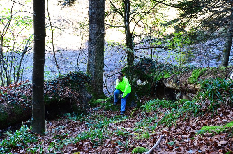 SELVA DE IRATI-14-11-2015-NAVARRA - Paseando por España-1991/2015-Parte-1 (43)