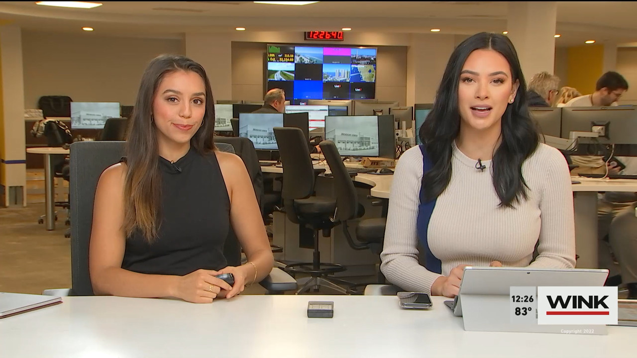 10.27 - 17.00.00 - The WINK Noon News  ᴺᵉʷ. Midday news update..ts_snapshot_33.08.925