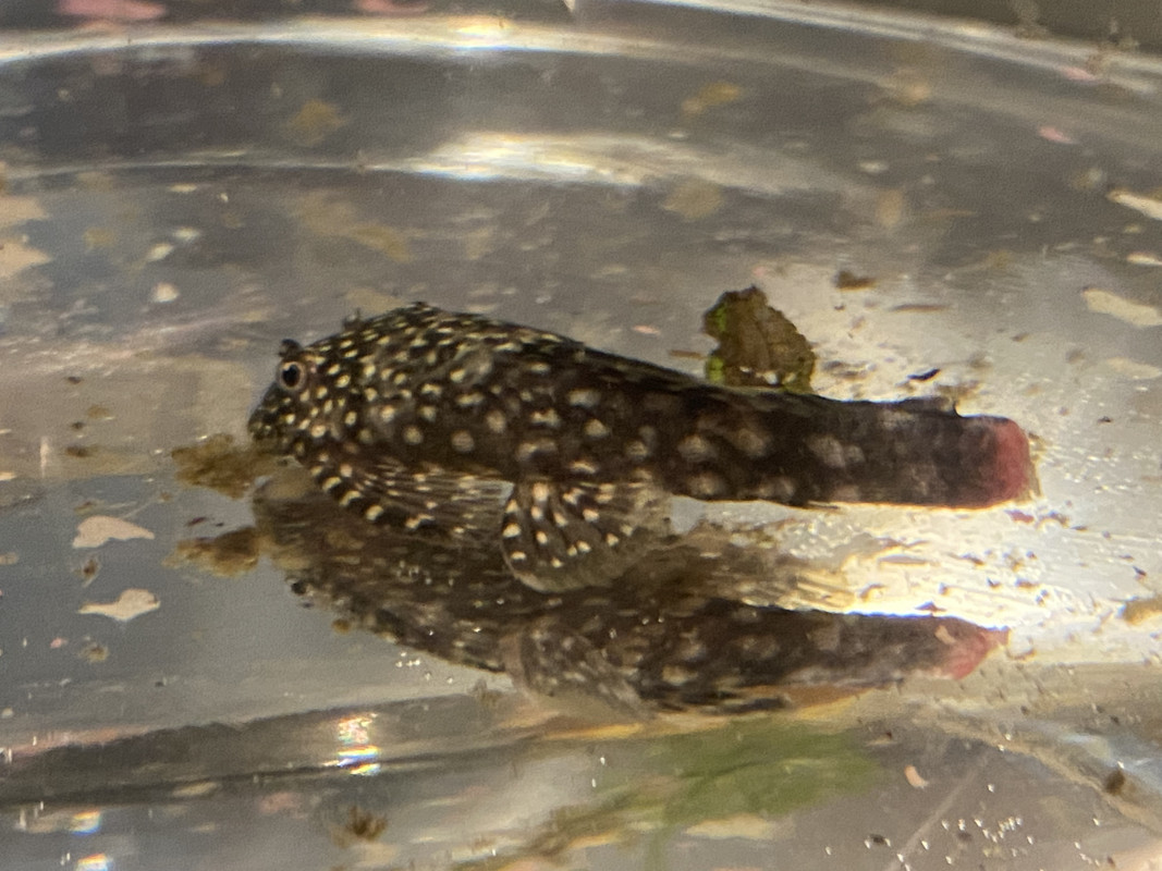 5C9C88A9-4104-4FAC-A284-E701B1A51206