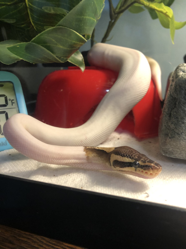 71261EEC-5D0A-466E-905A-8E9CD0949B51