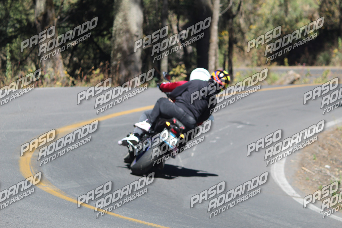 IMG 5999 wm 9484119 8 watermarked — Postimages
