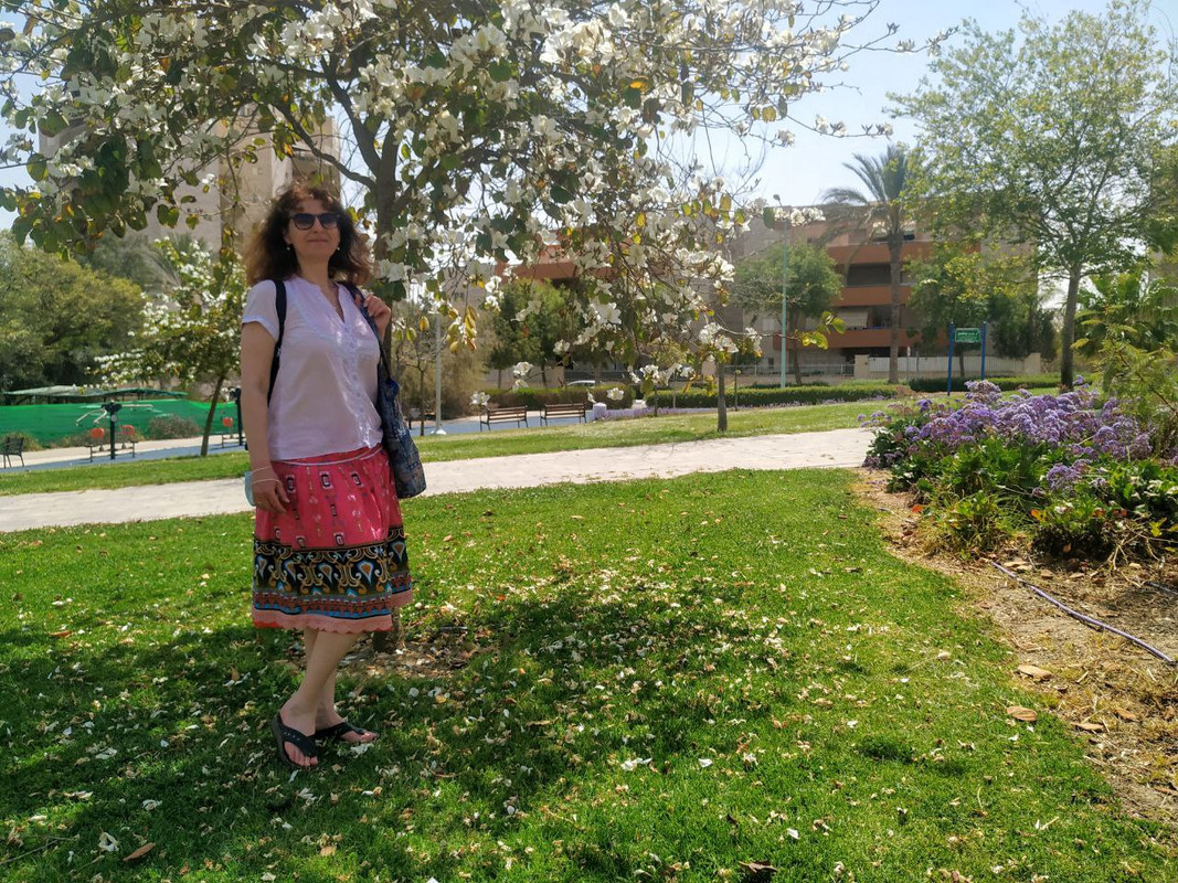 photo6030382350329820849