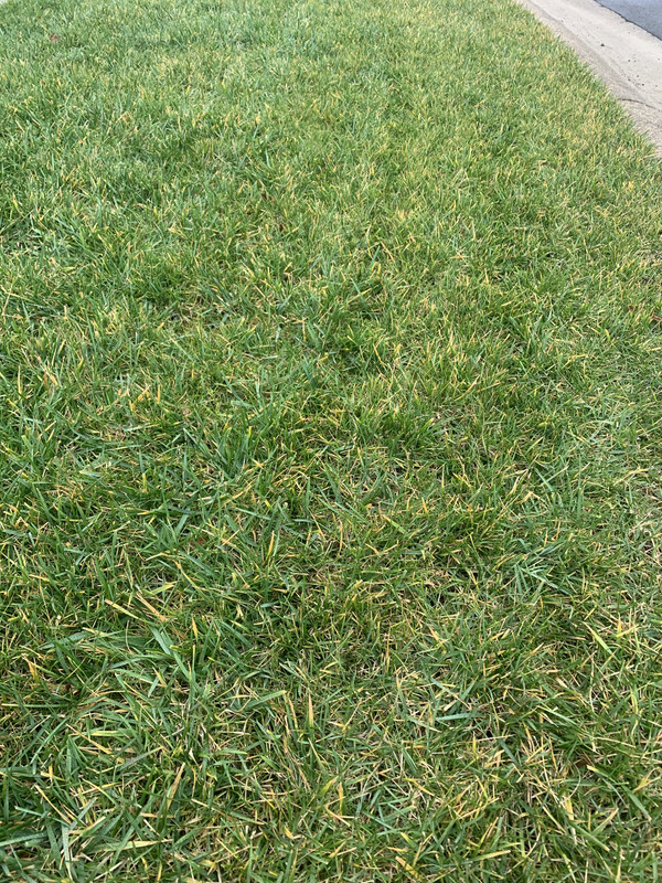 F5D50BF9-4654-4801-B97B-264577569E28