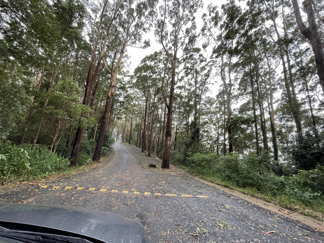 5420BB63-3B7D-4339-88FA-F92B7FACA145