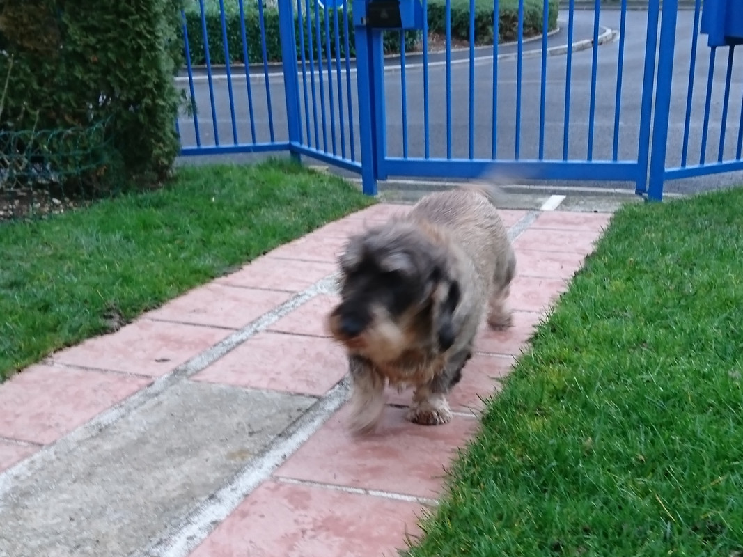 [Image: DSC-0006.jpg]