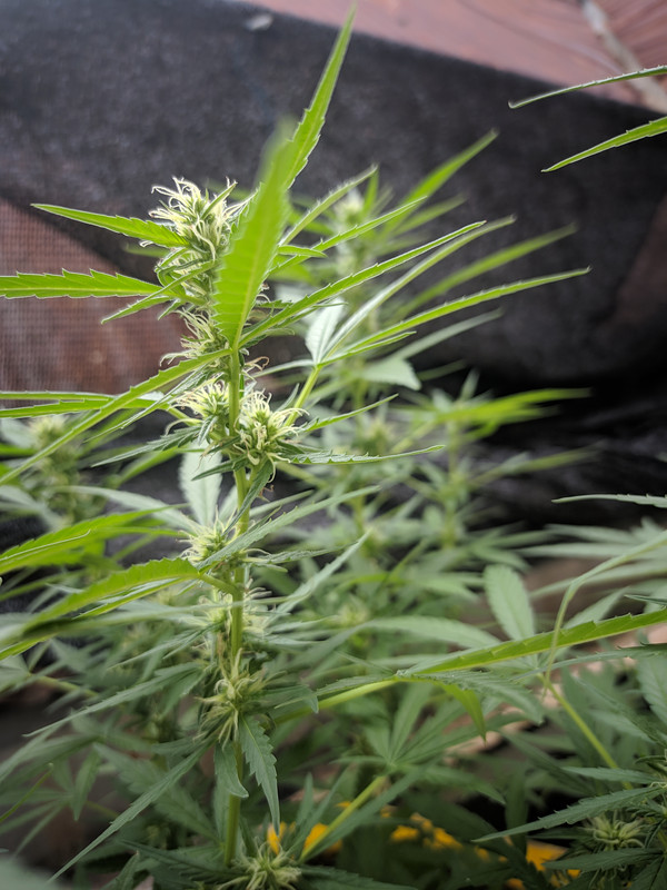 HC_20221010_170522_null