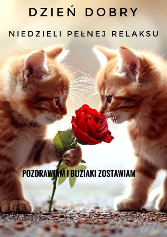 Obrazek