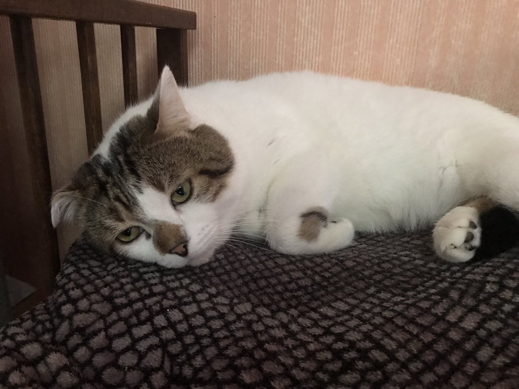 9BD3A06B-9B53-4246-9407-3D7011D794F5