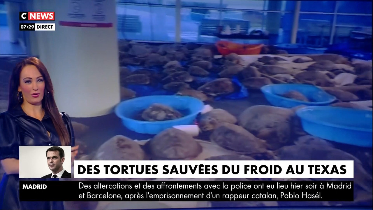 02.18 - 04.56.00 - La matinale. Tous les matins, la matinale de CNews..._002.ts_snapshot_30.21.532