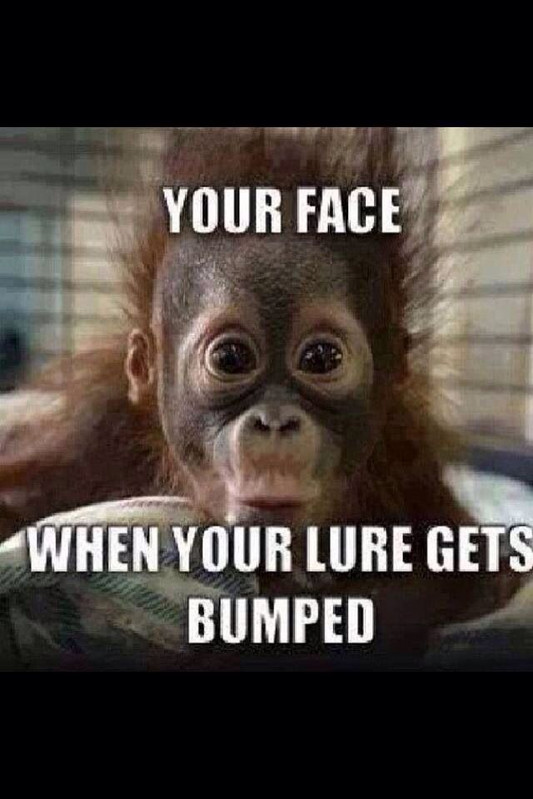 a81442556a9dfcdc5af7b6b386052144