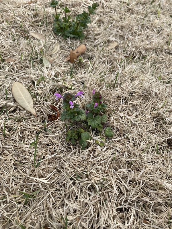 323499F4-0942-4817-AEC9-83AB1AEA2C21