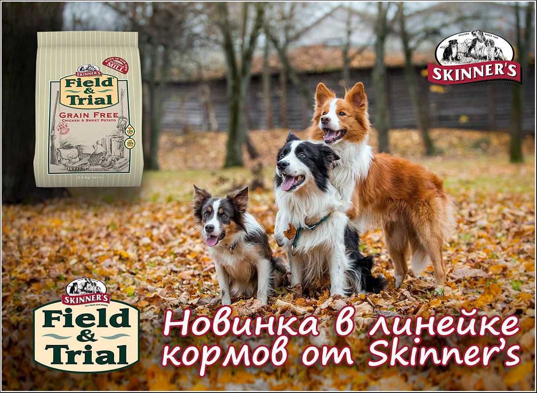 Беззерновой корм